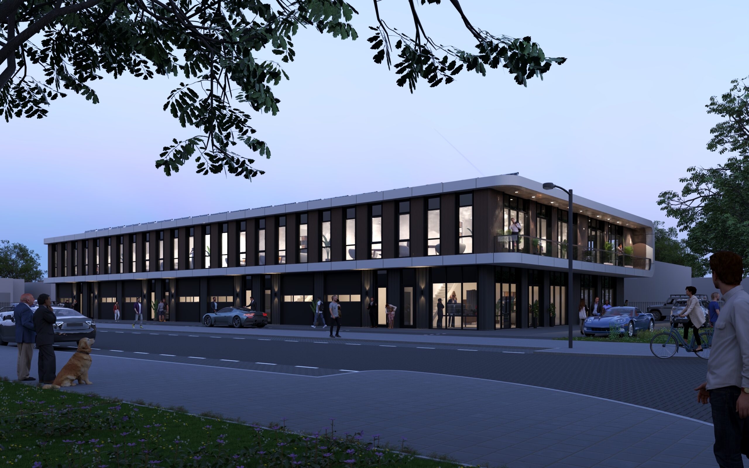 media gallerij