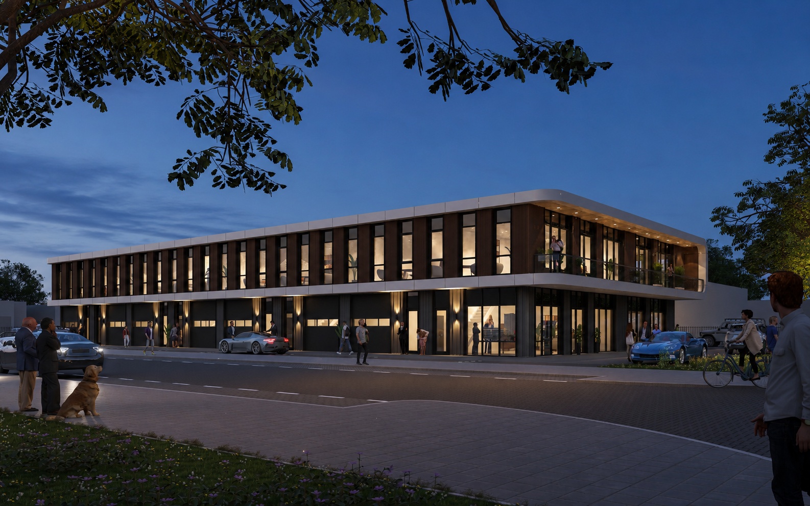 media gallerij